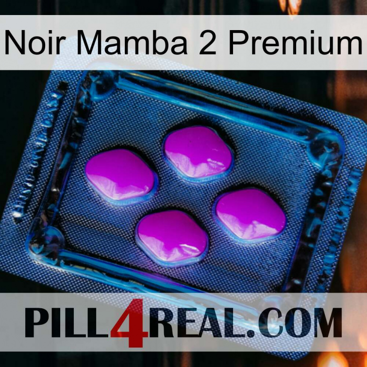 Black Mamba 2 Premium 04